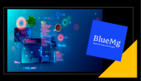 Diseño web - BlueMg